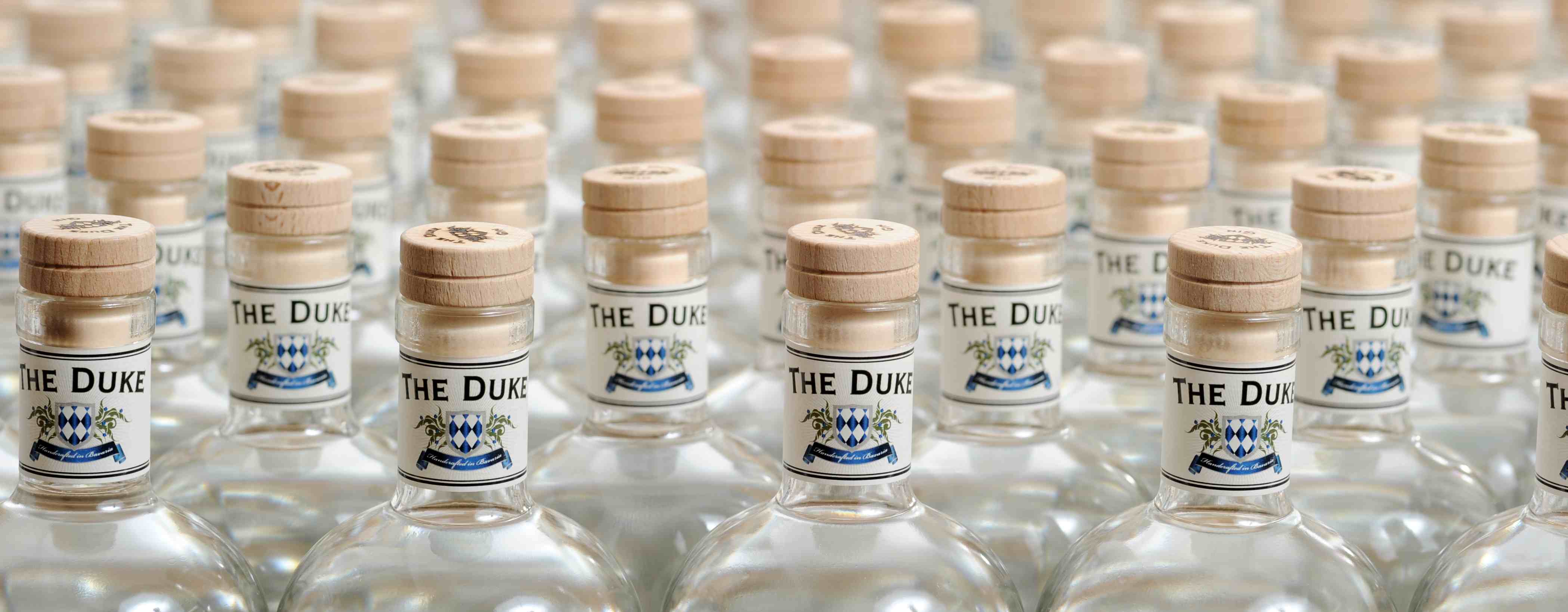 The%20Duke2
